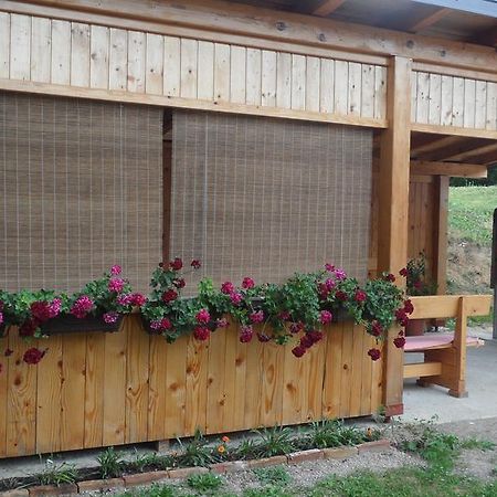 Apartment Rendulic Раковица Екстериор снимка